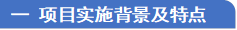 一 项目实施背景及特点